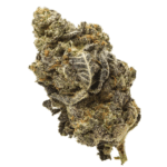 ALIEN COOKIES HYBRID STRAIN