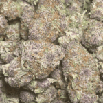 BLACKBERRY KUSH HYBRID STRAIN