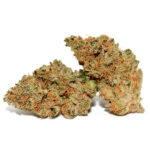 CHEMDAWG HYBRID STRAIN