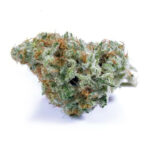 GELATO MINTS HYBRID STRAIN