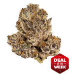 GRAPE APEDELIVERY OF BEST CANNABIS FLOWERS ON CHICAGO