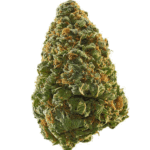 GREEN CRACK HYBRID STRAIN