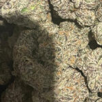 GUAVALICIOUS SUGAR - DELIVERY OF BEST CANNABIS FLOWERS ON CHICAGO