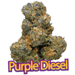 PURPLE DIESEL HYBRID STRAIN – DELIVERY BEST CANNABIS FLOWERS ON CHICAGO