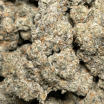 RAINBOW SHERBET - DELIVERY OF BEST CANNABIS FLOWERS ON CHICAGO