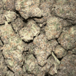 STARBURST RUNTZ EXOTIC - DELIVERY OF BEST CANNABIS FLOWERS ON CHICAGO