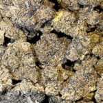 TURTLE PIE EXOTIC - DELIVERY OF BEST CANNABIS FLOWERS ON CHICAGO