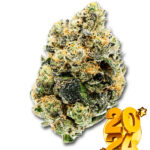 WEDDING PIE  STRAIN HYBRID