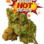 BLUE DREAM HYBRID SATIVA DOMINANT STRAIN