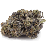 SPACE COOKIES HYBRID STRAIN