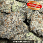 Cherry Soda (EXOTIC)