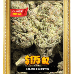kush mints