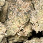 Blue Dream Top Shelf