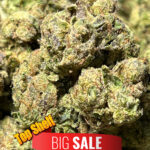 Wedding Crashers  - OZ deal