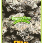 Frost Grandma’s Sugar Cookies