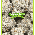 Miracle Alien Cookies