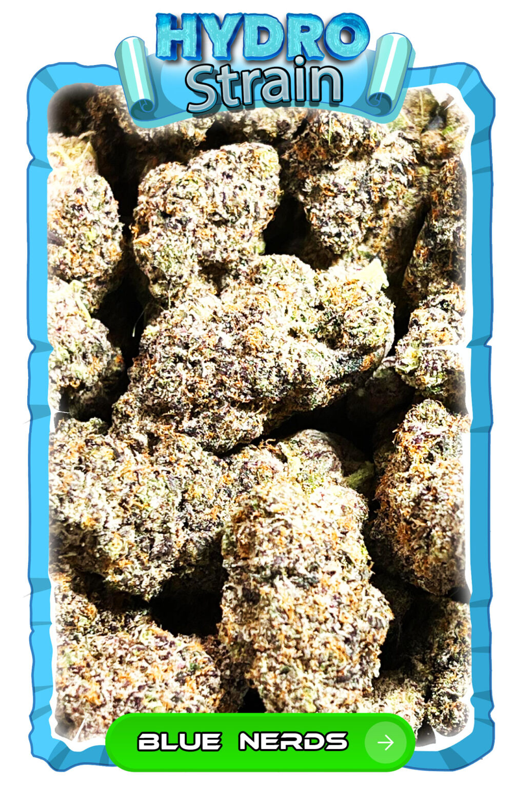 Blue Nerds - reupdeliver.com