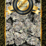 Breakfast in Bed Strain