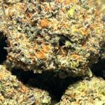 Black Cherry Cheesecake