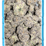 Starburst Runtz - Chicago cannabis delivery service