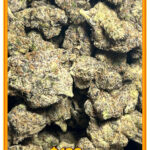 Organic Blueberry ICE