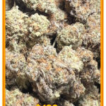 Peanut Butter Cookies