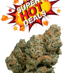 Gelonade - (Top Shelf Indoor)