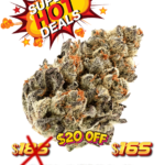 Gelonade - (Top Shelf Indoor)