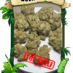 Devil Driver - TOP Shelf - Chicago Cannabis delivery service