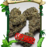 Marshmallow OG - TOP Shelf - Chicago Cannabis delivery service