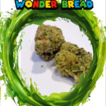 Wonder bread