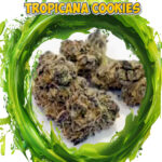 Tropicana Cookies -