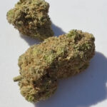 Deep Fried Ice cream