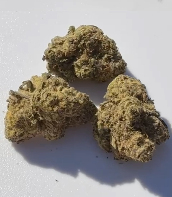 3 ZolliPopz - Image 1