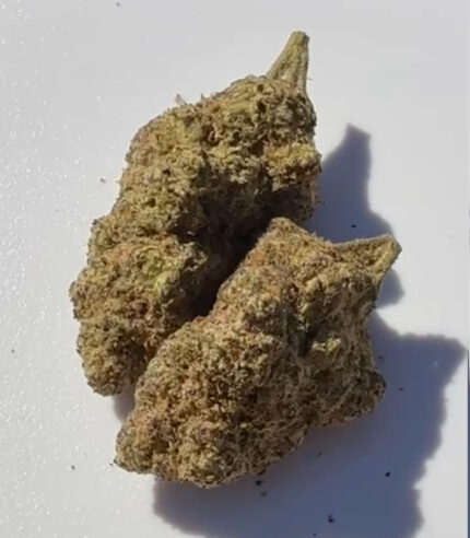 Lemon Cherry Blow Pop