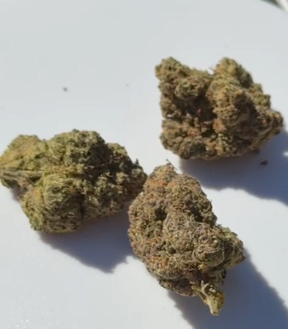 5 Pink Runtz - Image 1