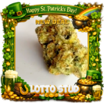 LOTTO STUD - Top Shelf strain - Cannabis delivery service