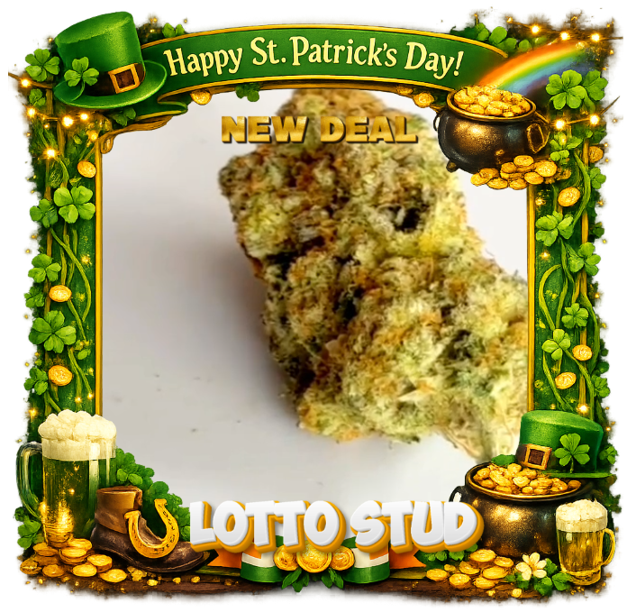 lotosddd LOTTO STUD - Top Shelf strain - Cannabis delivery service - Image 1