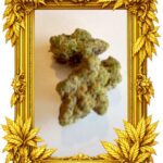 Purple Pie - Top Shelf strain -Chicago Cannabis delivery service