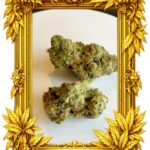 The Rizz #1 - Top Shelf strain -Chicago Cannabis delivery service