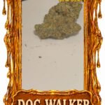 DOG Walker - Top Shelf strain - Chicago Cannabis delivery service