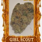 GSC- Top Shelf strain - Chicago Cannabis delivery service