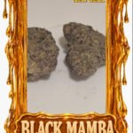 Black Mamba - Top Shelf strain - Chicago Cannabis delivery service