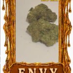 ENVY- Top Shelf strain - Chicago Cannabis delivery service