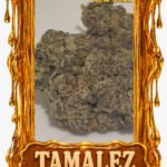 Tamalez - Top Shelf strain - Chicago Cannabis delivery service